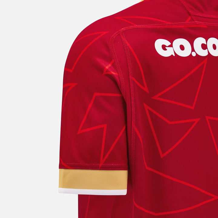 Wales Rugby Replica Pathway Heimtrikot Kinder