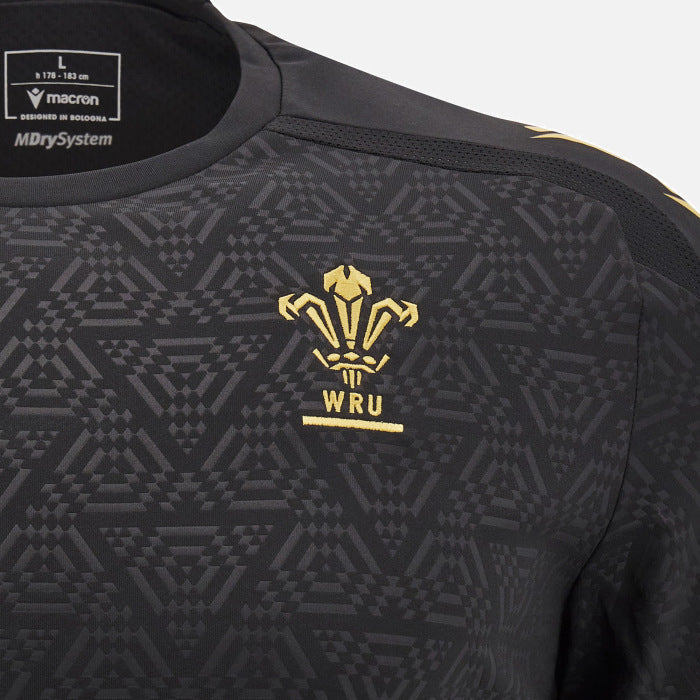 Wales Rugby Trainings-T-Shirt Herren