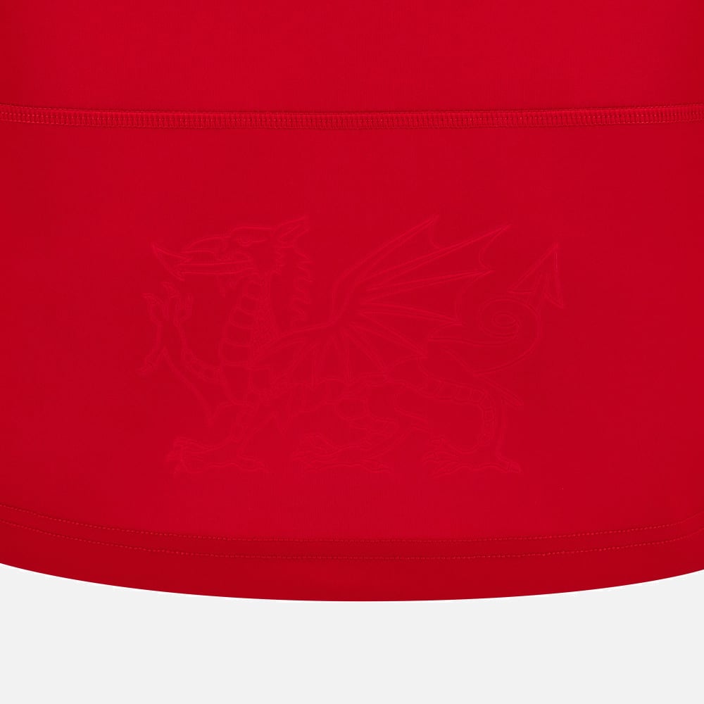 Wales Rugby Replica Heimtrikot Kinder
