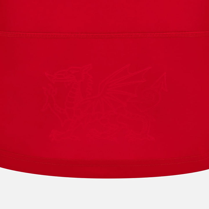 Wales Rugby Replica Heimtrikot Kinder
