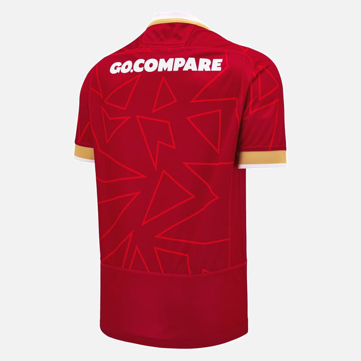 Wales Rugby Replica Pathway Heimtrikot Kinder