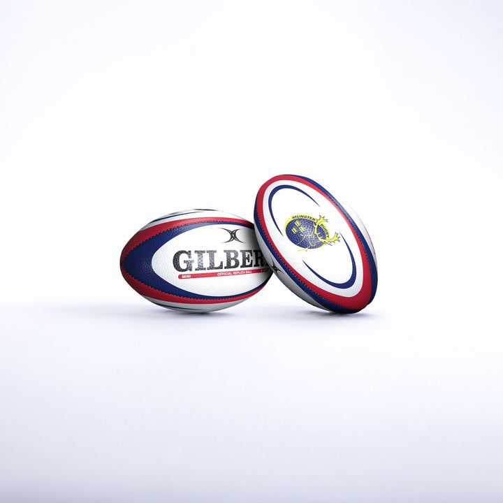 Munster Supporter rugbybold mini
