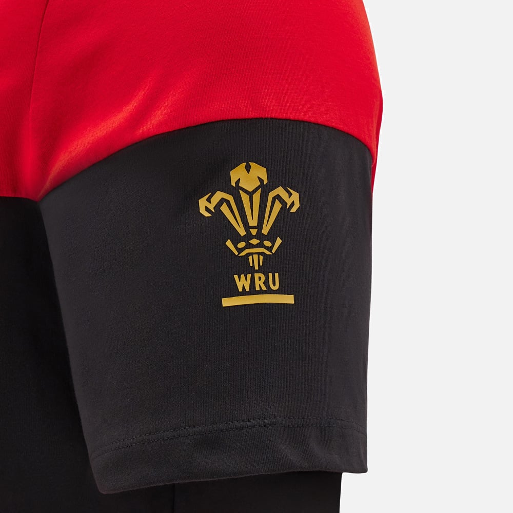 Wales Rugby Freizeit-T-Shirt Herren