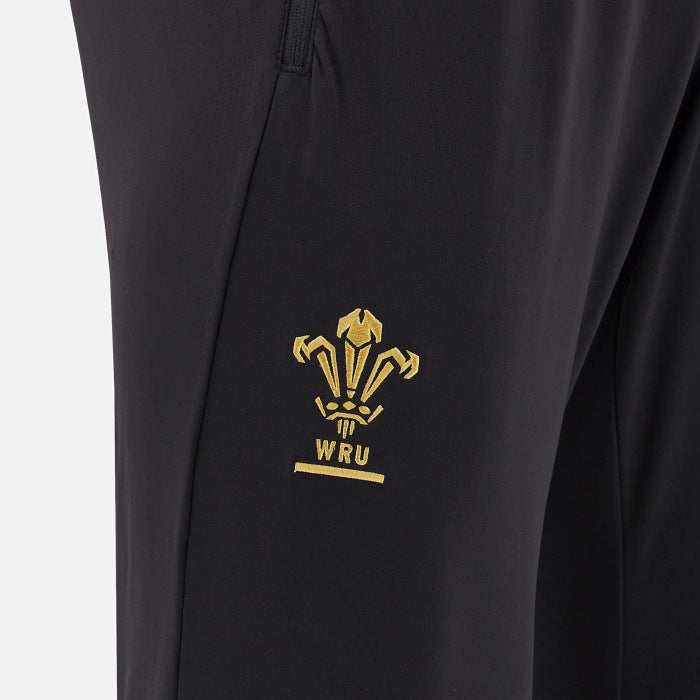 Wales Rugby Trainingshose Herren