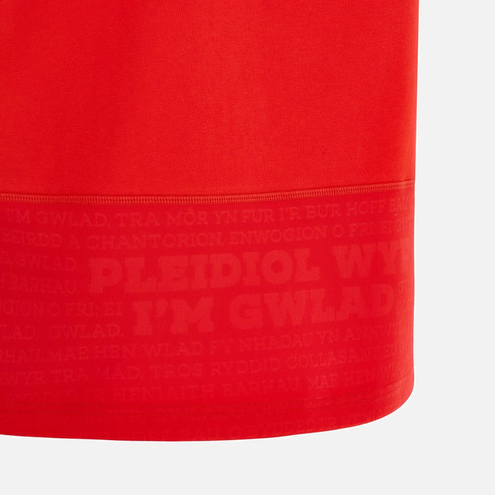 Wales Rugby 2023/24 Baumwollshirt